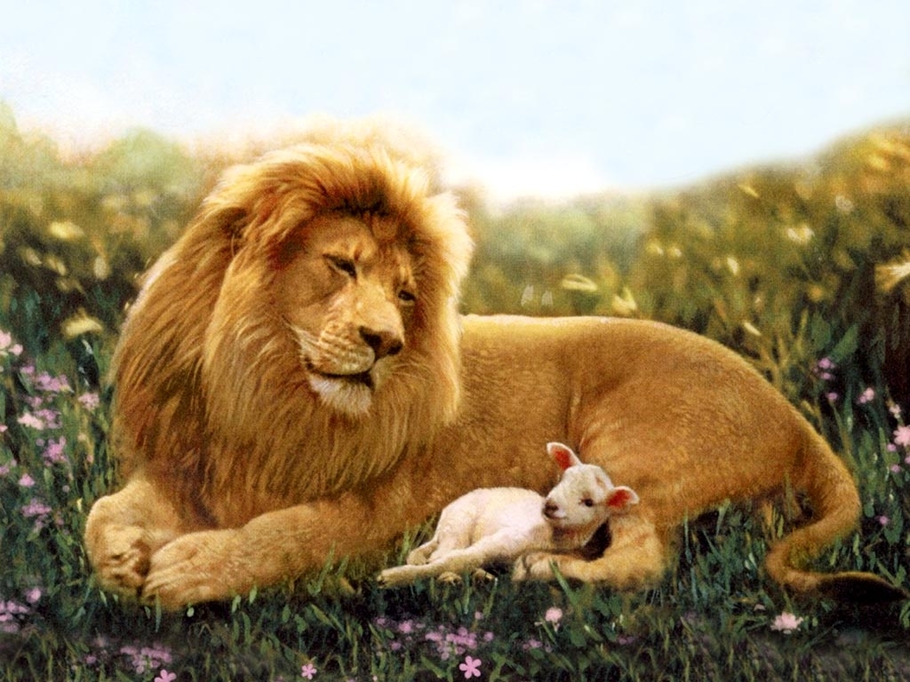The-Lion-and-the-Lamb